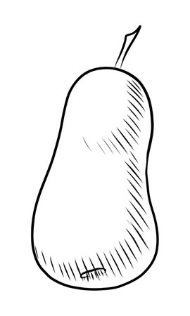 BLACK CONTOUR DRAWING OF A PEAR ON A WHITE BACKGROUND IN VECTORのイラスト素材