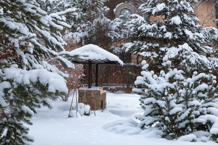 Backyard Patio.Landscape with barbeque area, snowbanks of white snow, pine trees in country garden. Country life concept.の写真素材