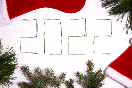 Happy new year 2022. Fir branches in form of the number 2022 on white background. Tree branches, Santa hat, sock. Holiday flatly.の写真素材