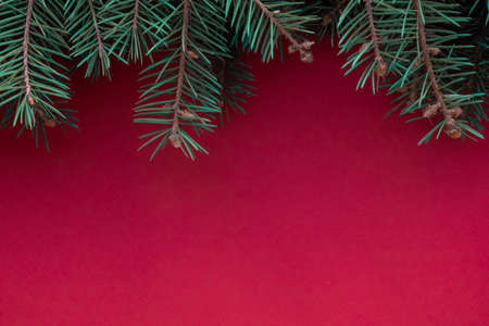 Merry Christmas and Happy New Year red background with green fir branches. Christmas tree flatly....