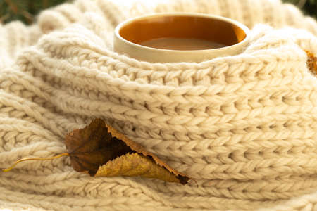 Cup of autumn coffee, tea or hot chocolate, fall leaf on a warm scarf. Drink for cold rainy days....