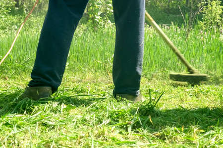 Man mows grass with hand electric lawn mower in the garden. Mowing grass with mower. Garden work...