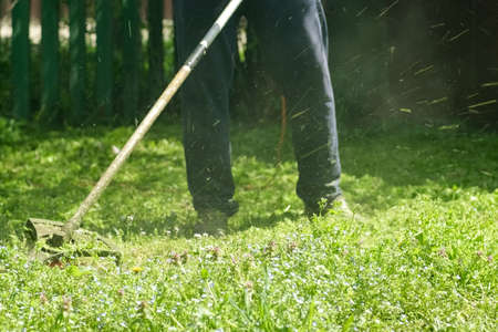 Mowing the grass with mower. Man mows grass with hand electric lawn mower in the garden. Garden work...