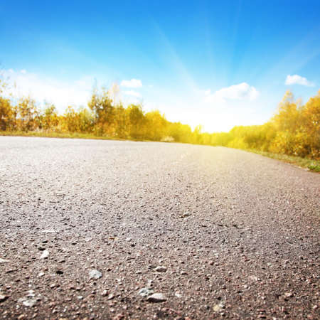 Autumn road. の写真素材