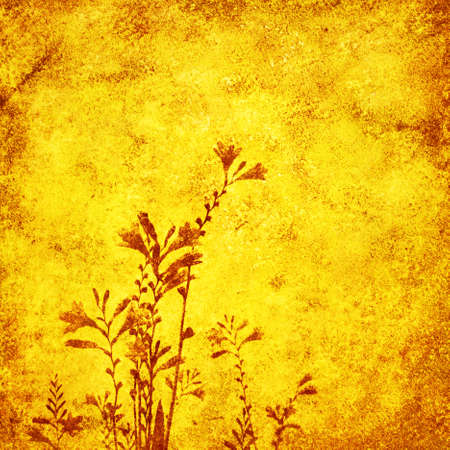 Grunge paper background with wildflowers.の写真素材