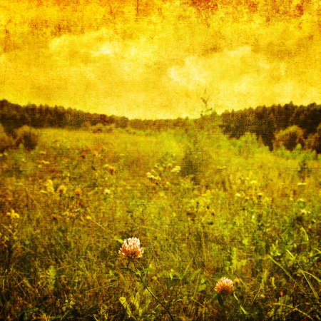 Grunge image of summer landscape.の写真素材