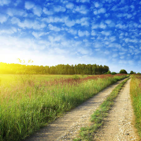 Country road in the grass field and bright sunset 