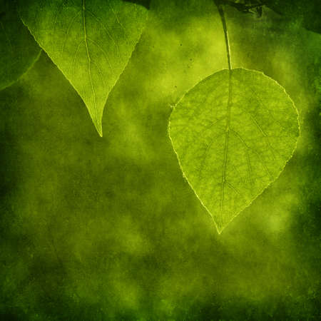 Grunge foliage の写真素材