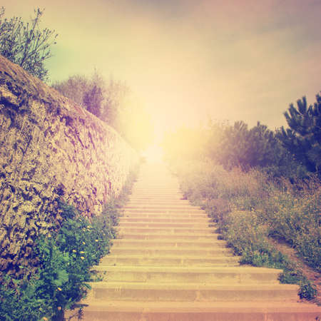 Stairs in the park in vintage style の写真素材