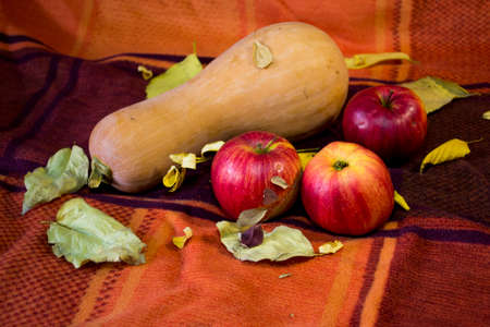 Fresh apples and pumpkin on a soft checkered blanket. Fabric background. Autumn harvest. Harvest theme with fresh apples and pumpkinの写真素材
