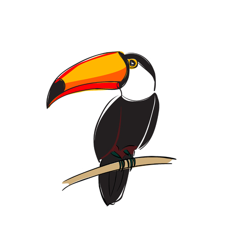 Cute toucan sitting on branch. Flat vector isolated on white. Toucan bird colorful cartoon character.のイラスト素材