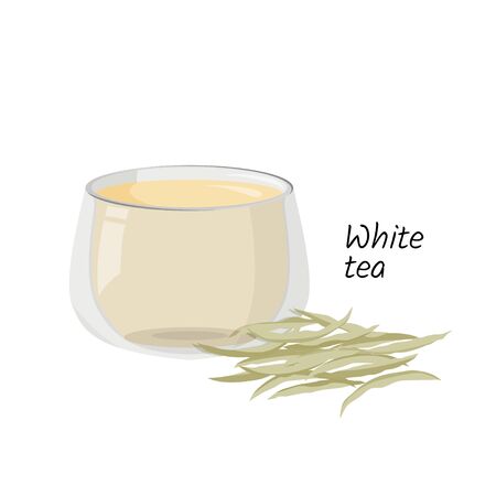 Vector drink illustration. Hot white tea in glass cup and a handful of tea isolated on white background.のイラスト素材