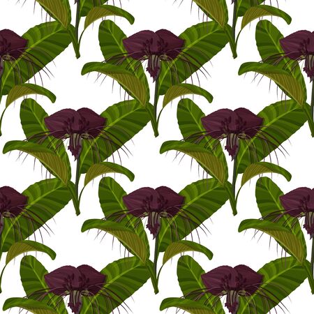 Tropical exotic plant seamless pattern. Dark purple Tacca flowers background.のイラスト素材