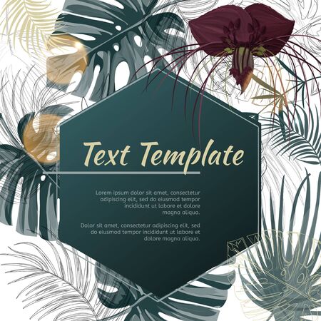 Colorful green design template. Dark purple Tacca flower and monstera leaves background.のイラスト素材