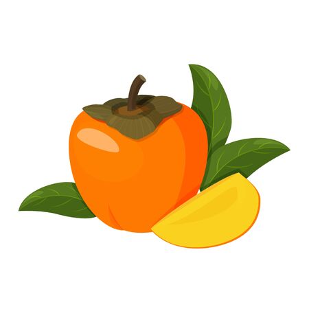 Bright vector illustration of colorful whole persimmon. Fresh cartoon persimmon isolated on white background with hand lettering.のイラスト素材