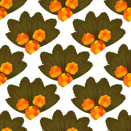 Fresh cloud berry background. Whole forest berries seamless pattern.のイラスト素材