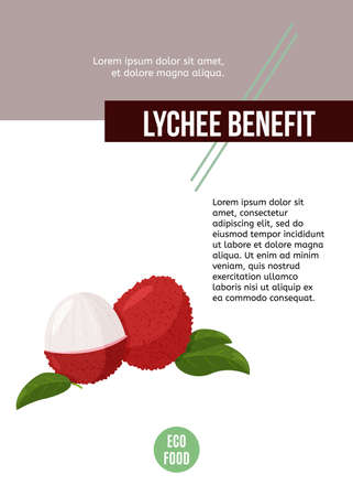 Lychee fruit vector poster. Design template for article, menu and meal card.のイラスト素材