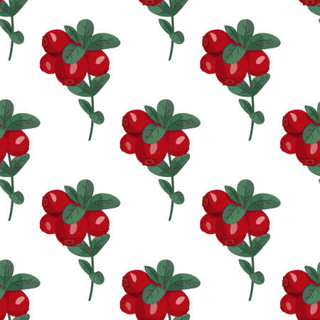 Seamless vector pattern with cranberries. Bright summer background. North Berries.のイラスト素材