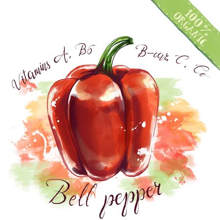 Watercolor vegetable with splashes and lettering. Drawn organic health food for vegetarians and health care. Freehand drawing of raw bell pepperの写真素材