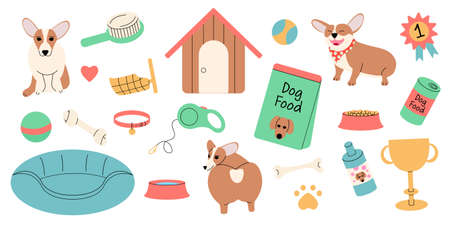 Dog accessories set. Vector illustration isolated on white background.のイラスト素材