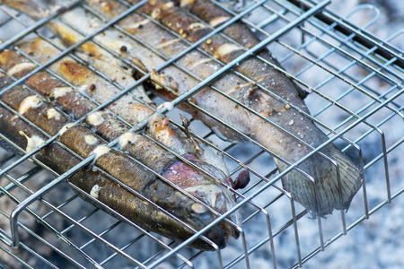 Rainbow salmon in spices, fried on a bonfire on the grill on a summer dayの写真素材