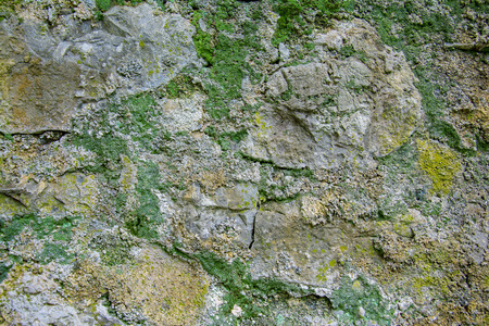 a stone wall, a block, a mountain in a multicolored beautiful mossの写真素材