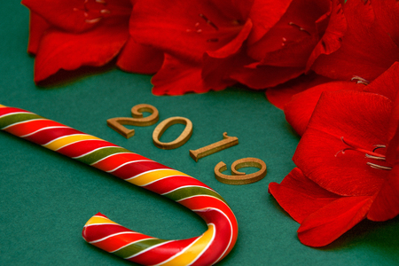 New Year colorful lollipop on a green background with red flowers for Christmas