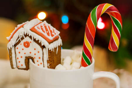 cozy Christmas tea house from cookies for a cup and a multicolored lollipopの写真素材