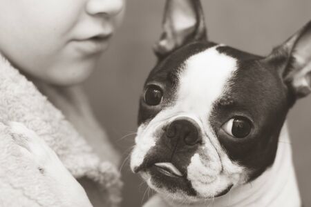 The boy cares, loves and tenderly embraces his devoted friend the Boston Terrier dog. Black and white photoの写真素材