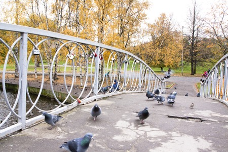 Old bridge in autumn, Petrozavodsk, Karelia Russiaのeditorial素材