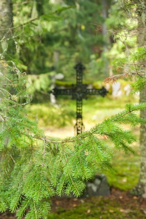 Cross at old beautiful semetery in Finlandの写真素材
