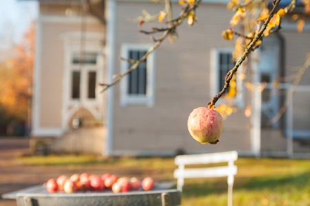 KOUVOLA, FINLAND - OCTOBER 15, 2018: Beautiful autumn in old rustic museum district of Kouvola - Kaunisnurmi.のeditorial素材