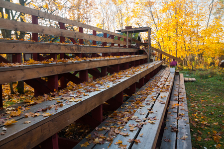 Row of wooden wet benches with foliage in outdoor theater in a city park at autumn.