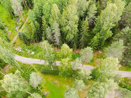 Aerial view of green forest and road at rural summer in Finland