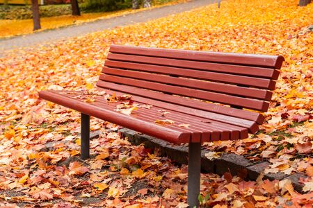 Empty bench with maple leaves in autumn parkの写真素材