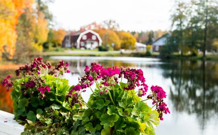Autumnal view of old village Ruotsinpyhtaa, Finland.の写真素材