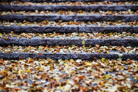 Yellow leaves on granite stairs - autumn landscape with selective focus and blurの写真素材