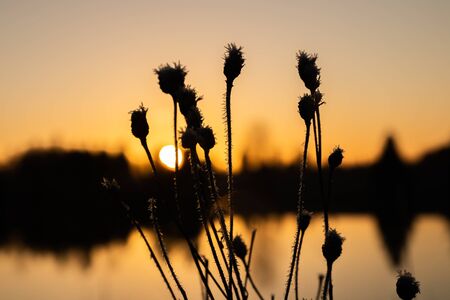 Beautiful sunset on river Kymijoki at winter, Finland.の写真素材