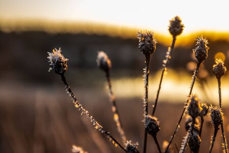 Beautiful sunset on river Kymijoki at winter, Finland.の写真素材