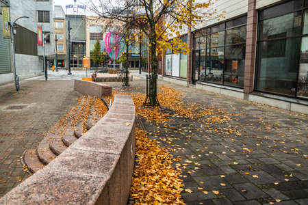 Kouvola, Finland - October 13, 2019: Yellow leaves on pavement - autumn landscape with selective focus and blurのeditorial素材