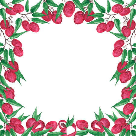 Frame with bright pink round lychee berries on a branch with green leaves on a white background....