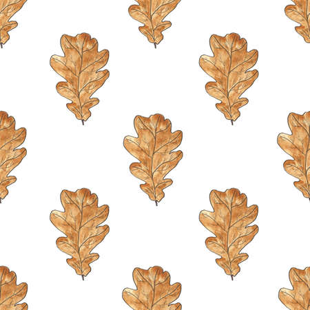 Oak brown leaves on a white background leaves, seamless pattern. Leaf fall, background of the autumn season. Watercolor illustration. For textiles, packaging.の写真素材