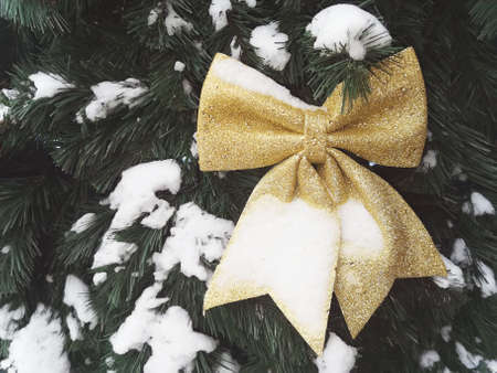 Golden decorative bow, on the green snow-covered branches of the Christmas tree. Festive background. close-up.の写真素材