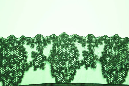 Green lace. An element of finishing of clothes, peignoir, lingerie. Beautiful pattern of fabric texture.の写真素材