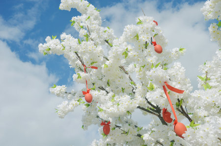 Branches of white lush blooming lilac are decorated with traditional red Easter eggs. Street holiday...