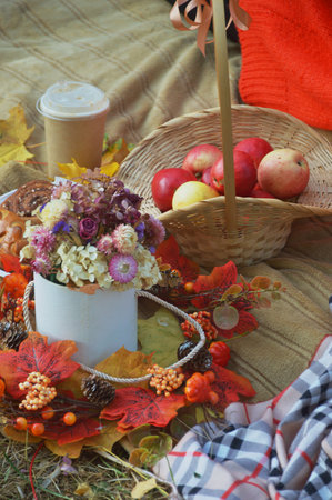 Ripe red apples lie in a wicker basket. Autumn composition on a beige blanket next to yellow leaves.の写真素材