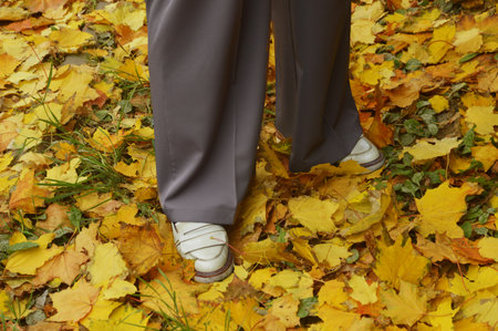 A woman's feet stand on fallen yellow autumn leaves. Leaf fall.の写真素材