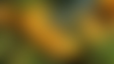 4K blurred gradient background design.の写真素材