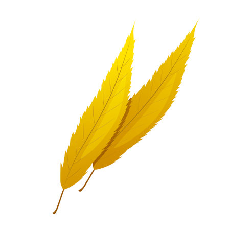Vector cartoon Willow leaves isolated on white background.のイラスト素材