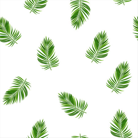 Vector seamless pattern with tropical leaves on white background.のイラスト素材